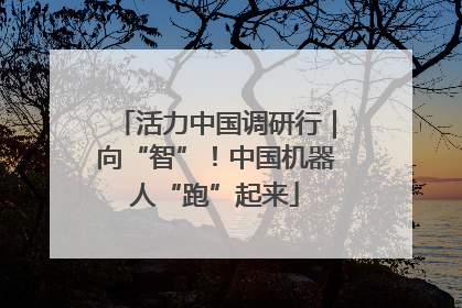 活力中国调研行｜向“智”！中国机器人“跑”起来