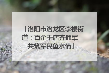 洛阳市洛龙区李楼街道：百企千店齐拥军 共筑军民鱼水情