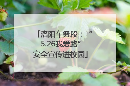 洛阳车务段：“5.26我爱路”安全宣传进校园