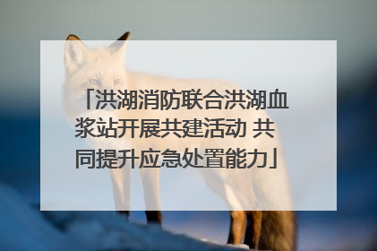 洪湖消防联合洪湖血浆站开展共建活动 共同提升应急处置能力