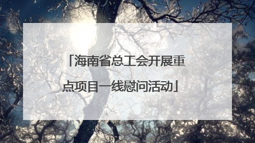 海南省总工会开展重点项目一线慰问活动