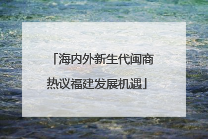 海内外新生代闽商热议福建发展机遇