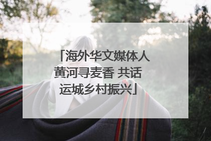 海外华文媒体人黄河寻麦香 共话运城乡村振兴