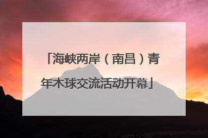 海峡两岸（南昌）青年木球交流活动开幕
