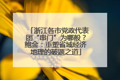 浙江各市党政代表团“串门”为哪般？鲍金：重塑省域经济地理的破题之道