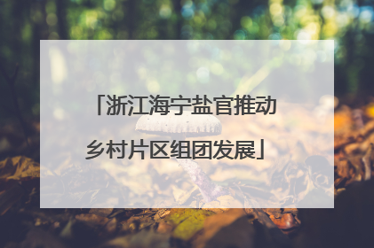 浙江海宁盐官推动乡村片区组团发展