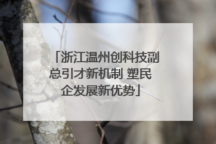 浙江温州创科技副总引才新机制 塑民企发展新优势