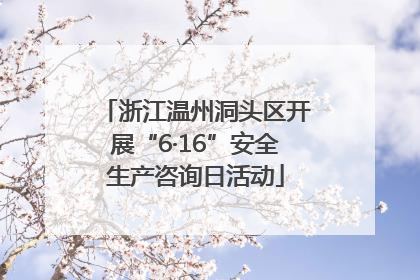 浙江温州洞头区开展“6·16”安全生产咨询日活动