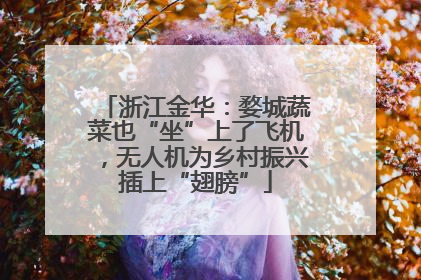 浙江金华：婺城蔬菜也“坐”上了飞机，无人机为乡村振兴插上“翅膀”