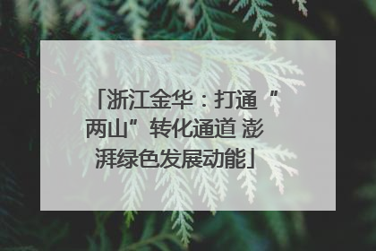 浙江金华：打通“两山”转化通道 澎湃绿色发展动能