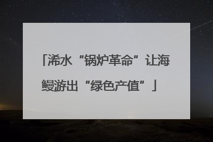 浠水“锅炉革命”让海鳗游出“绿色产值”