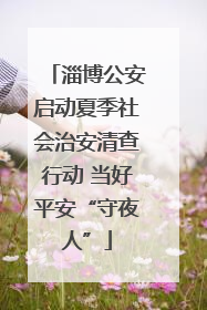 淄博公安启动夏季社会治安清查行动 当好平安“守夜人”