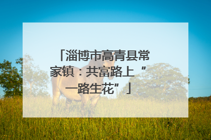 淄博市高青县常家镇：共富路上“一路生花”