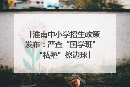 淮南中小学招生政策发布：严查“国学班”“私塾”擦边球