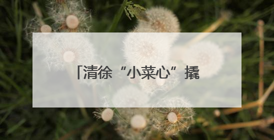 清徐“小菜心”撬动大市场 36小时直达粤港澳大湾区