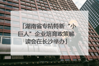 湖南省专精特新“小巨人”企业培育政策解读会在长沙举办