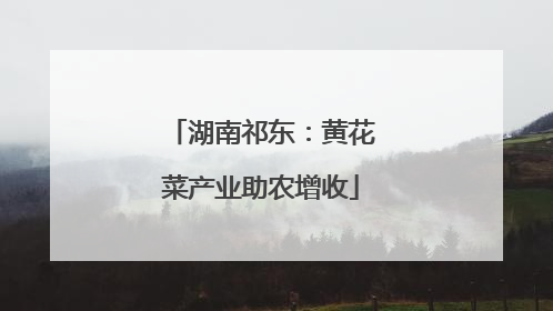 湖南祁东：黄花菜产业助农增收
