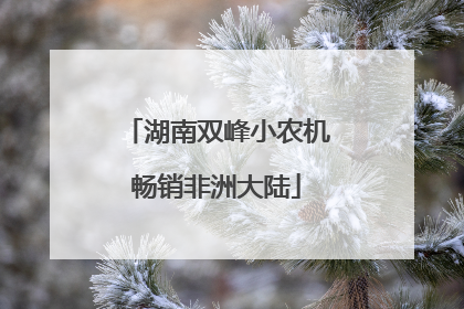 湖南双峰小农机畅销非洲大陆