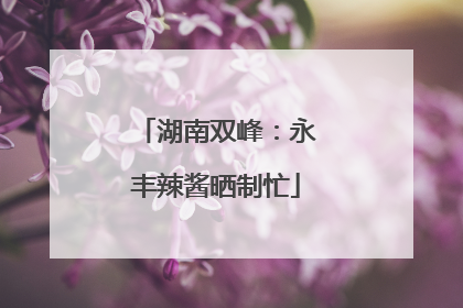 湖南双峰：永丰辣酱晒制忙
