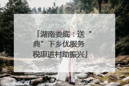 湖南娄底：送“典”下乡优服务 税惠进村助振兴