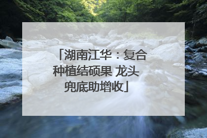 湖南江华：复合种植结硕果 龙头兜底助增收