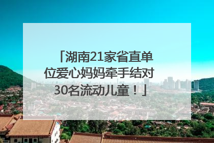 湖南21家省直单位爱心妈妈牵手结对30名流动儿童！