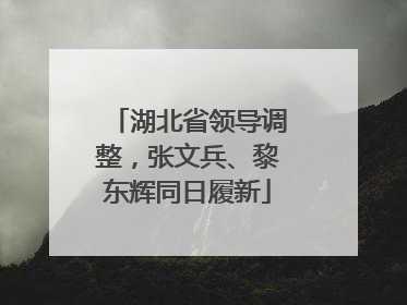 湖北省领导调整，张文兵、黎东辉同日履新
