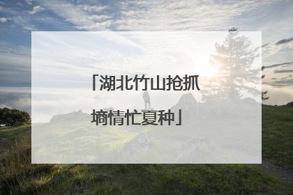 湖北竹山抢抓墒情忙夏种