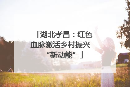 湖北孝昌：红色血脉激活乡村振兴“新动能”
