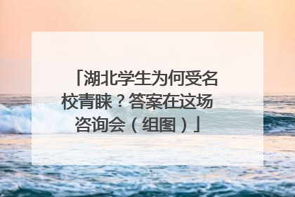 湖北学生为何受名校青睐？答案在这场咨询会（组图）