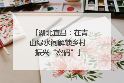 湖北宜昌：在青山绿水间解锁乡村振兴“密码”
