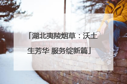 湖北夷陵烟草：沃土生芳华 服务绽新篇