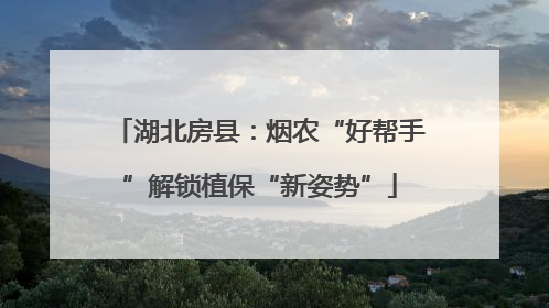 湖北房县：烟农“好帮手”解锁植保“新姿势”