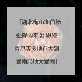 湖北梅雨期首场强降雨来袭 恩施宜昌等多地有大到暴雨局地大暴雨