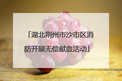 湖北荆州市沙市区消防开展无偿献血活动