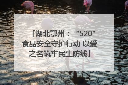 湖北鄂州：“520”食品安全守护行动 以爱之名筑牢民生防线