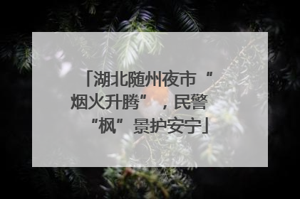 湖北随州夜市“烟火升腾”，民警“枫”景护安宁