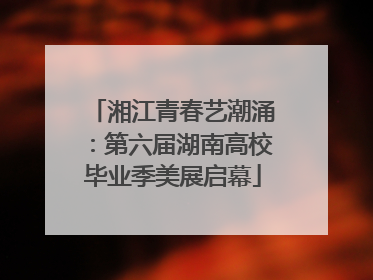 湘江青春艺潮涌：第六届湖南高校毕业季美展启幕