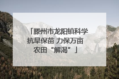 滕州市龙阳镇科学抗旱保苗 力保万亩农田“解渴”