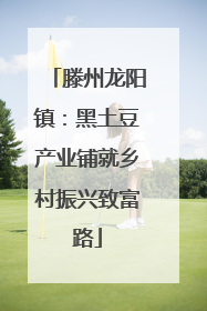 滕州龙阳镇：黑土豆产业铺就乡村振兴致富路