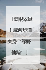 满眼翠绿！威海步道变身“绿野仙踪”