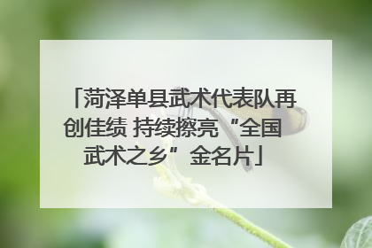 菏泽单县武术代表队再创佳绩 持续擦亮“全国武术之乡”金名片