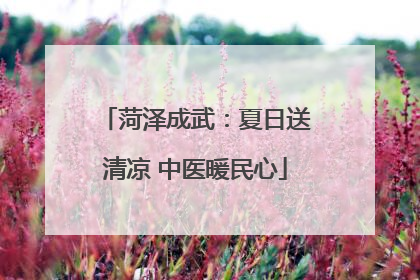菏泽成武：夏日送清凉 中医暖民心