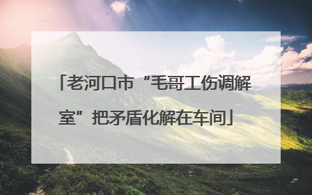 老河口市“毛哥工伤调解室”把矛盾化解在车间