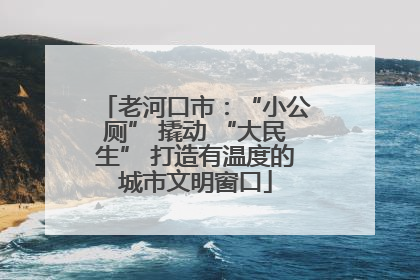 老河口市：“小公厕” 撬动 “大民生” 打造有温度的城市文明窗口