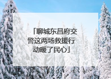 聊城东昌府交警这两场救援行动暖了民心
