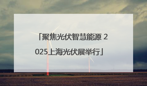 聚焦光伏智慧能源 2025上海光伏展举行