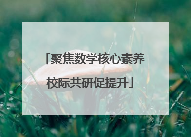 聚焦数学核心素养 校际共研促提升