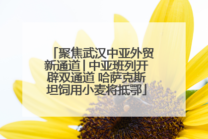 聚焦武汉中亚外贸新通道│中亚班列开辟双通道 哈萨克斯坦饲用小麦将抵鄂
