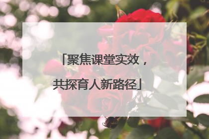 聚焦课堂实效，共探育人新路径